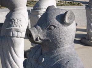 猪・豚、海豚、河豚