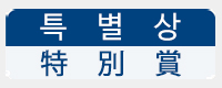 특별상