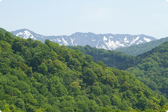 시라 카미 산지